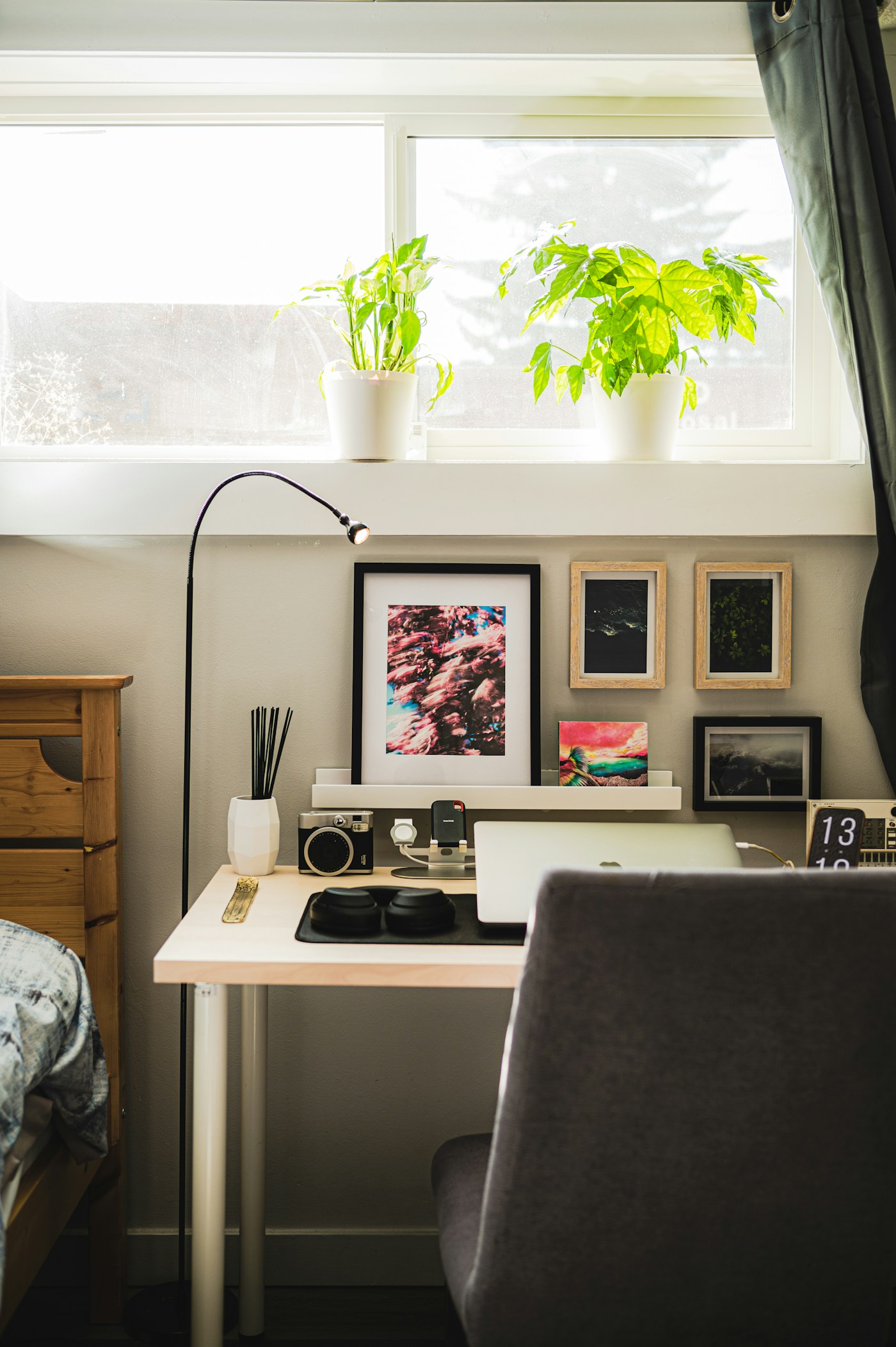 A bright home workspace with a laptop and plants